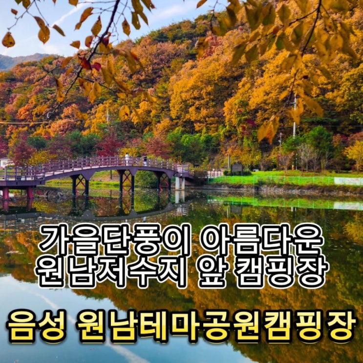  #73 음성 원남테마공원캠핑장 - 원남저수지 뷰와 가을단풍이 절경인 뷰맛집 단풍 캠핑장(예약방법)