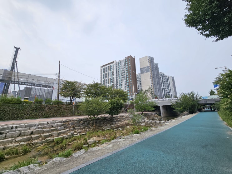  성북천을 걷다가_보문센트럴아이파크 기록
