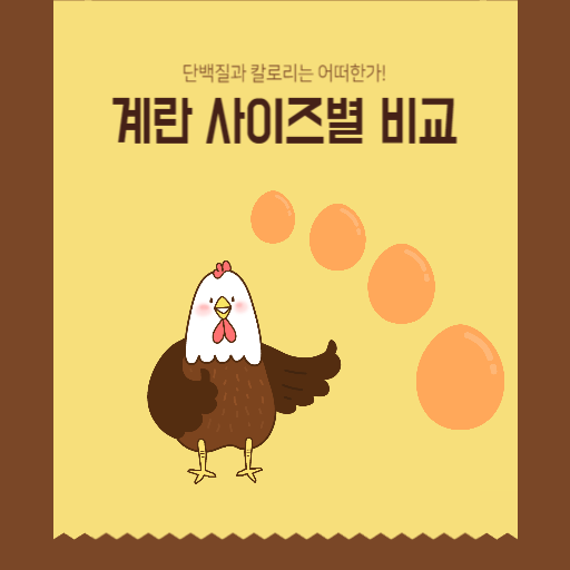  계란 칼로리와 단백질 함량 비교 (중란,대란,특란,왕란)