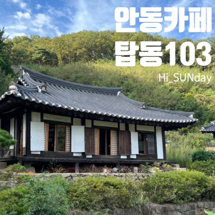  안동카페 통일신라시대 법흥사지 칠층전탑이 보이는 뷰 카페 탑동 301