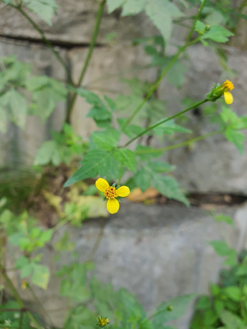 골프존뉴딘홀딩스 : 네이버 블로그