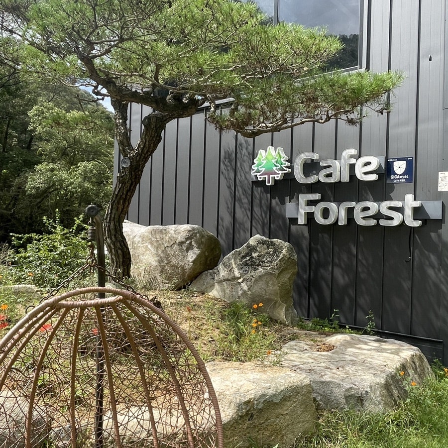 카페포레스트오브삼동 사진 1