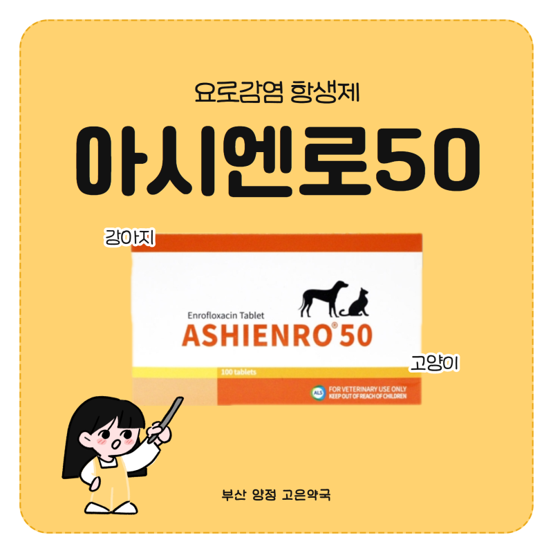 아시엔로50 강아지 고양이 요로감염 항생제