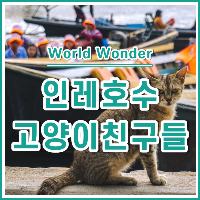  미얀마 인레호수의 고양이친구들 : 점핑캣사원 응아뻬꺄웅 Nga Phe Kyaung | 미얀마19