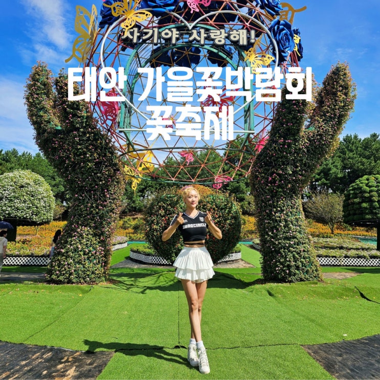  태안 가을꽃박람회 꽃축제 코리안플라워파크 애견동반 가능