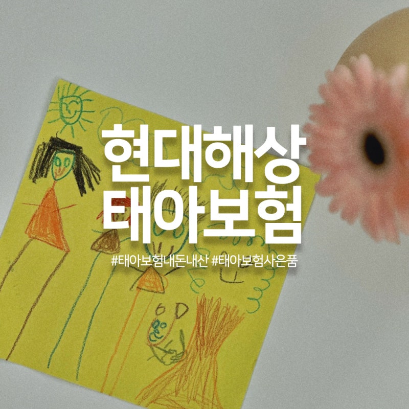 내 돈으로 가입한 현대해상 태아보험 후기, 사은품부터 보장까지