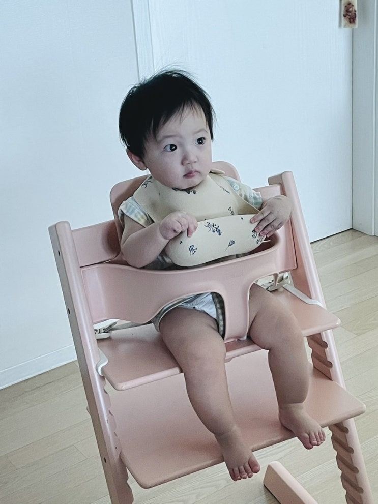  아빠가 앉혀보고 리뷰해보는 3개의 아기의자 활용법 (트립트랩, 본베베, 릿첼)