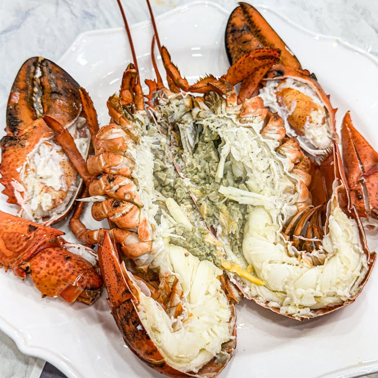  광주대게맛집 '확실하게' 랍스타 풀코스로 맛있게