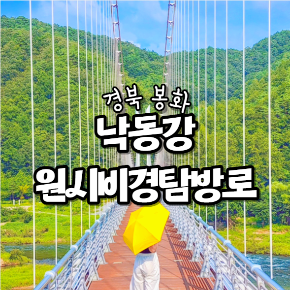  봉화 갈만한곳 낙동강 원시비경탐방로 이나리출렁다리 신비의도로 범바위전망대