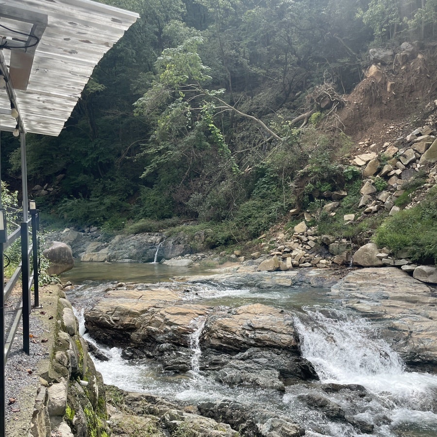 카페포레스트오브삼동 사진 6