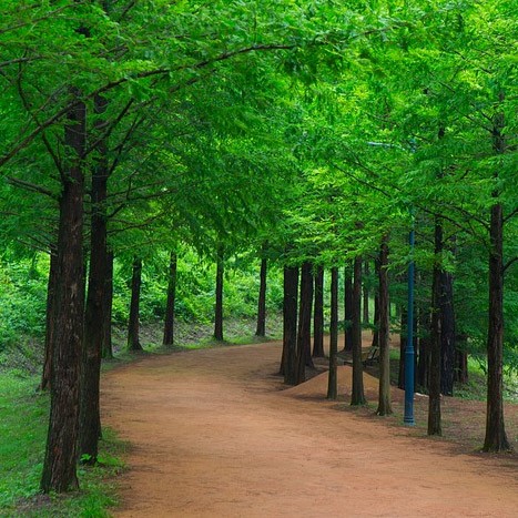  잃은 것보다 얻은 것을 세라..........