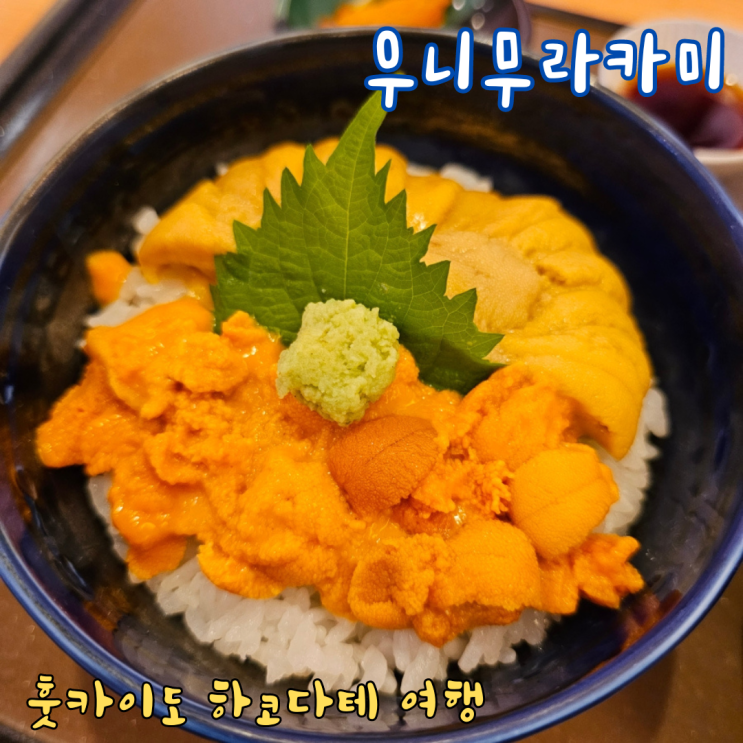  하코다테 우니무라카미 본점에서 조식먹고 아침시장 구경하기