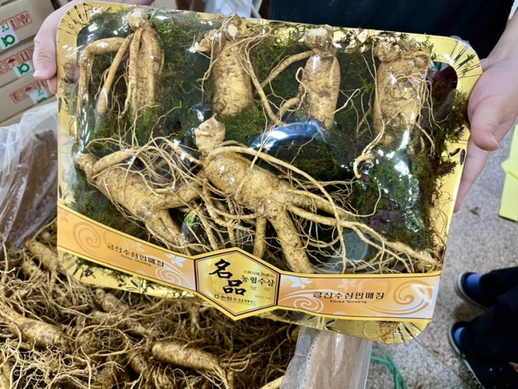  시댁 추석선물 추천 금산인삼 수삼 선물세트 #내돈내산