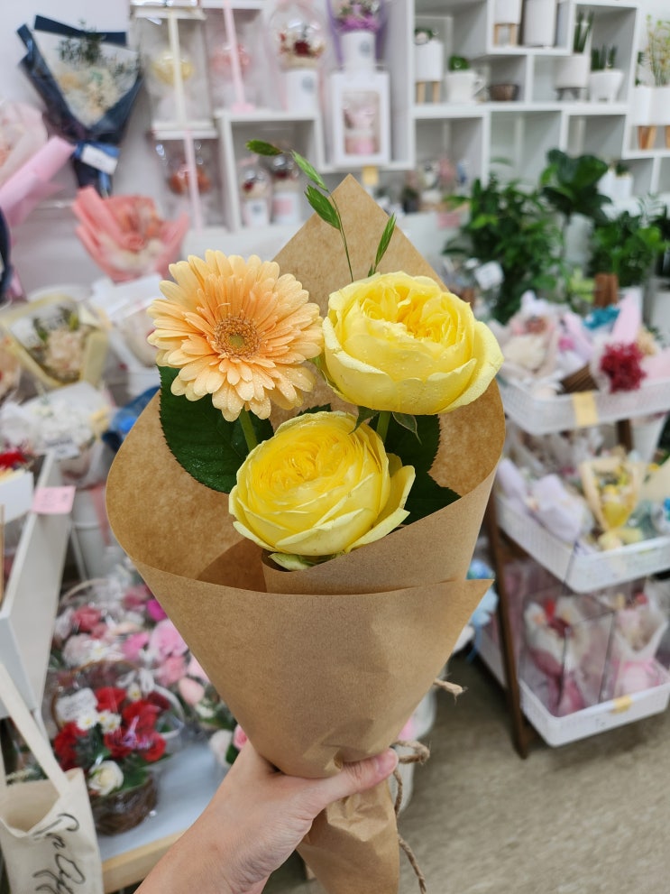 [세종 꽃집 추천] 꽃집인가 봄, 예쁘게 포장해주는 꽃집