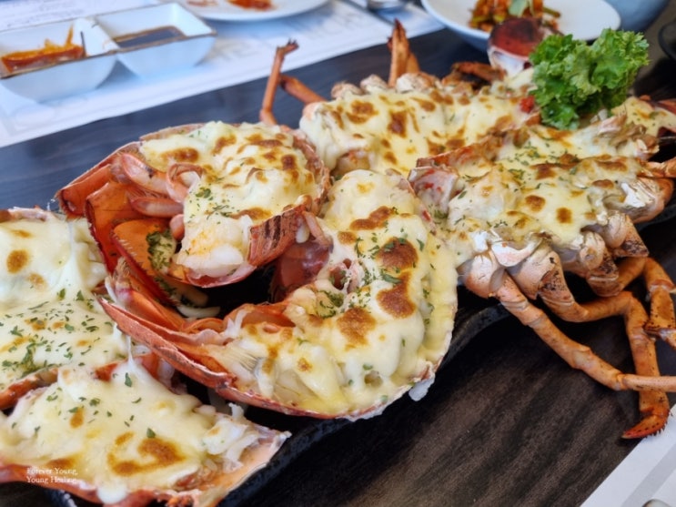  맛집도장깨기_특별한 날 먹기 좋은 대게나라 발산 마곡 랍스터 대게 점심특선코스 내돈내산