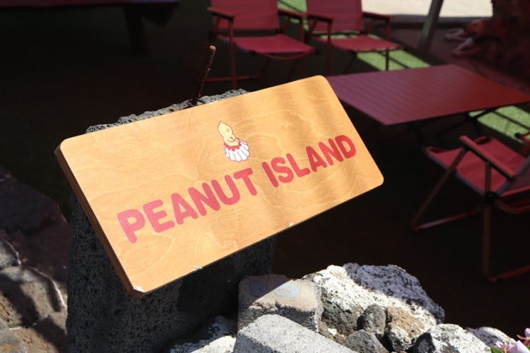 피넛아일랜드 : 우도 땅콩 제주 흑돼지 수제 햄버거 맛집