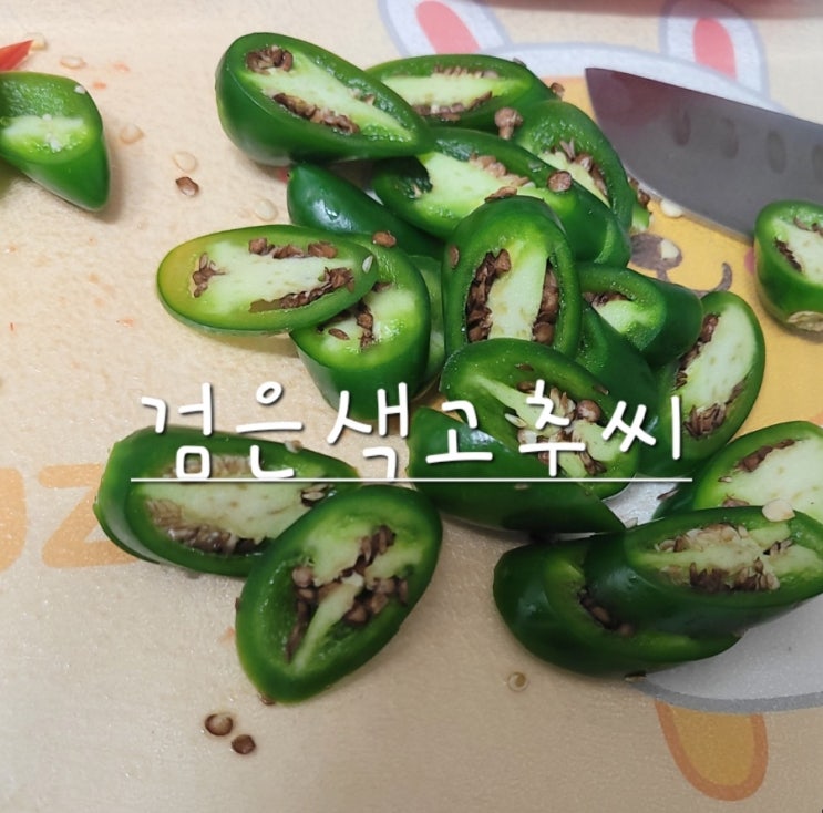  검은색 고추씨에 대하여