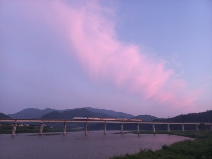  한사람이라도 살릴수 있다면..(금주 263일째)