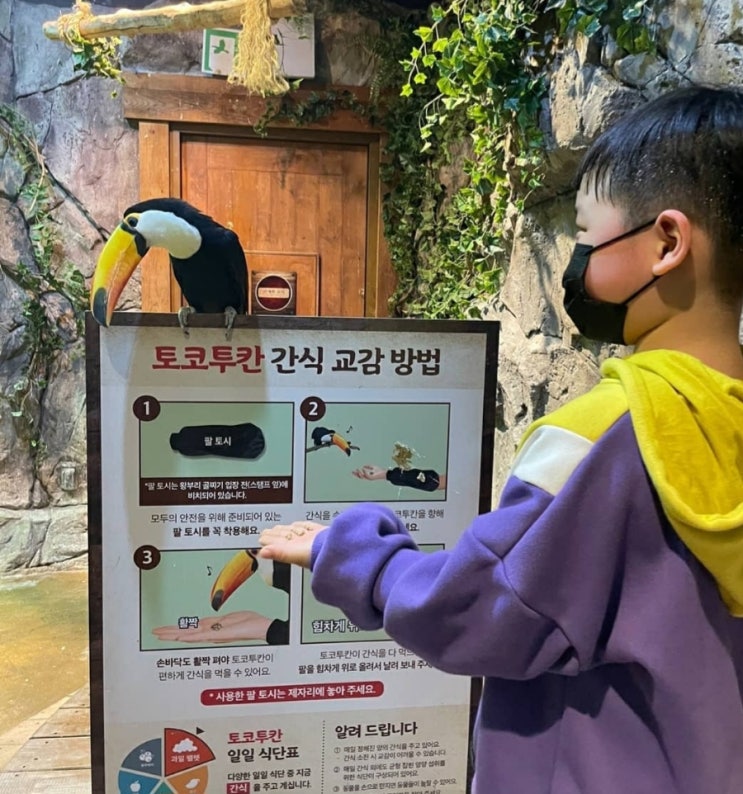  영등포 주렁주렁 l 추석 아이 데리고 갈만한 곳 l 실내 동물원