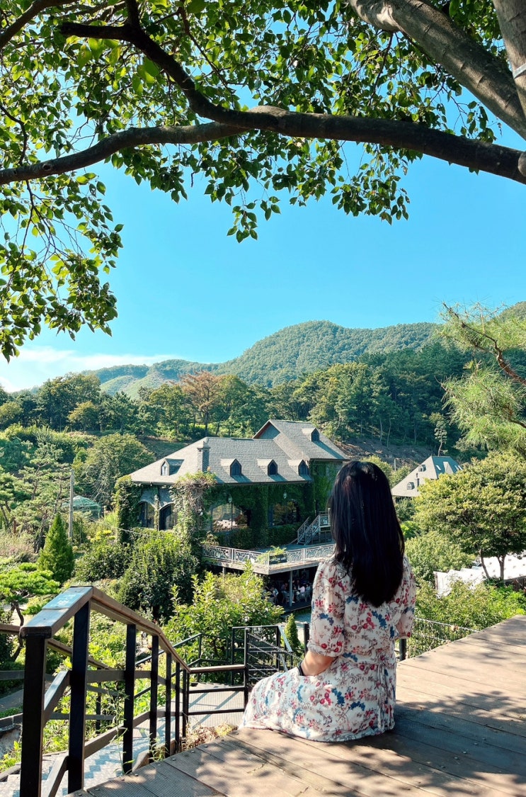  대전 근교 가볼만한 곳 옥천 수생식물학습원 예약방법 포토존 방문후기