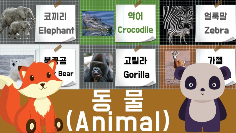 유아영어단어 동물이름 영어로 정리