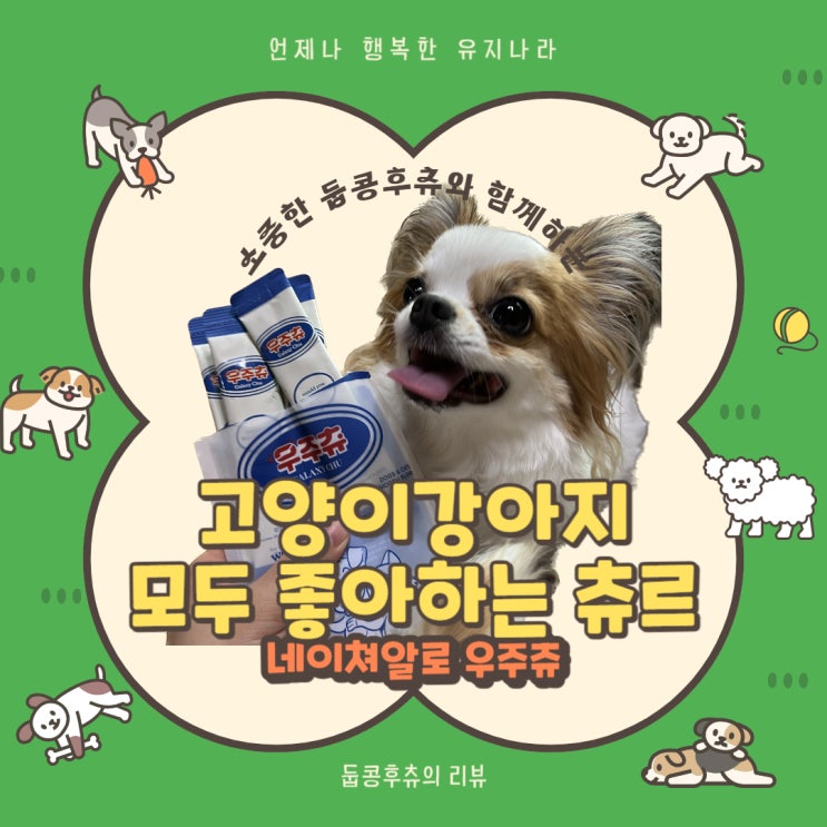  <둡콩훛>강아지 고양이 모두 급여할 수 있는 츄르형태 간식! 네이쳐알로우주츄