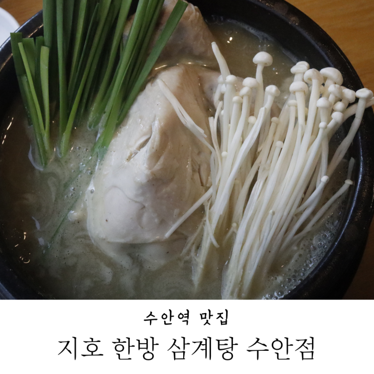  동래 점심 건강한 삼계탕 맛집 지호 한방삼계탕 수안점