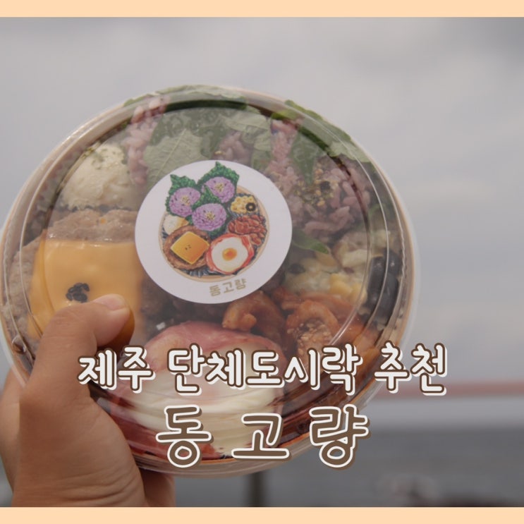  [맛집] 동고량 : 제주 도시락 / 제주도 단체 도시락 주문 / 단체 주문 / 학교 도시락 소풍 도시락 추천