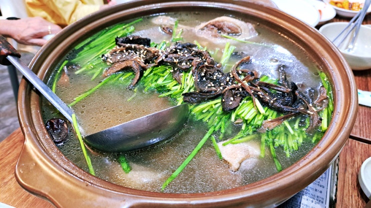 보양음식 전문점 동양 한방 오리 백숙 처음 먹어본 후기! 보양음식 전문점 동양 한방 오리 백숙 처음 먹어본 후기!