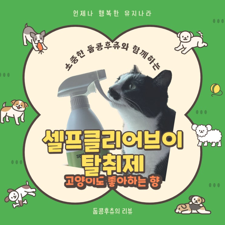  <둡콩훛> 강아지오줌냄새제거 셀프클리어브이 탈취제 추천