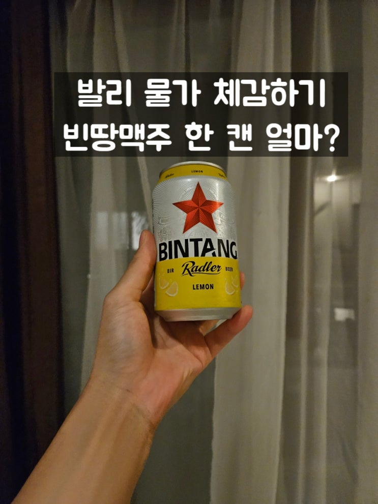  [발리여행 1일차] 우붓 시내 잘란잘란(발리 입국시 확인사항, e-SIM&로밍)