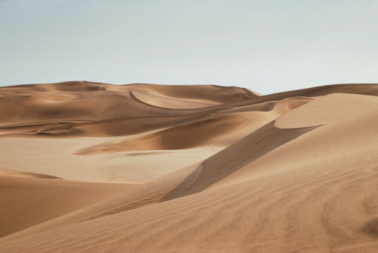  불멸의 황홀함, 나미비아 나미브 사막(Namib Desert) 여행: 무한한 모래와 세계에서 가장 높은 모래 언덕을 찾아서