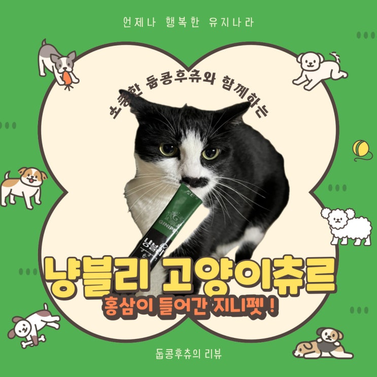  <둡콩훛> 정관장 홍삼들어간 고양이츄르 지니펫 냥블리 추천