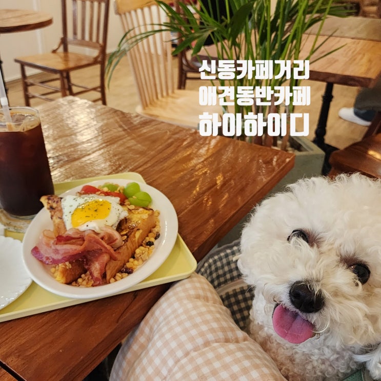  토스트와 즐기는 여유한잔 ~ 신동카페거리 애견동반카페 하이하이디