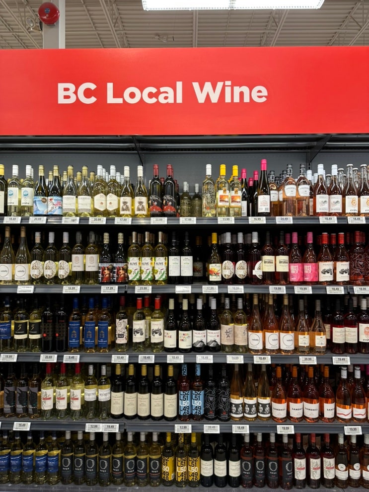  캐나다 BC 와인 저렴하게 구매하는법/ 캐나다 로컬와인 수퍼스토어/ BC Liquor stores / 캐나다에서술파는 곳 /캐나다 와인 추천