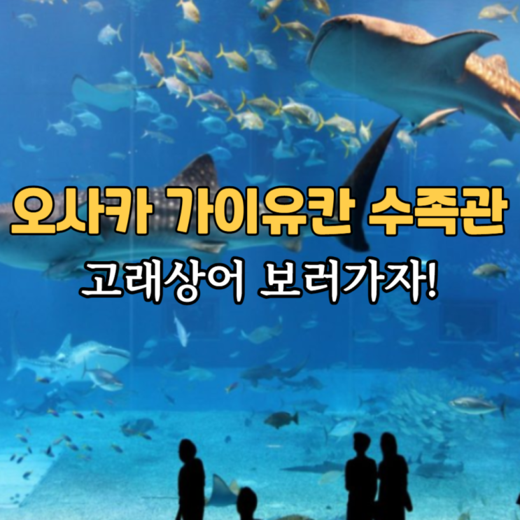  오사카 아쿠아리움 가이유칸 수족관 해유관 입장권 예약 가격