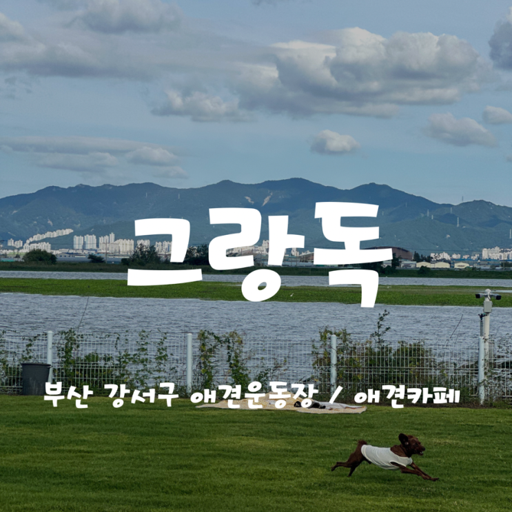  [부산 강서구 애견운동장 / 애견카페] 그랑독