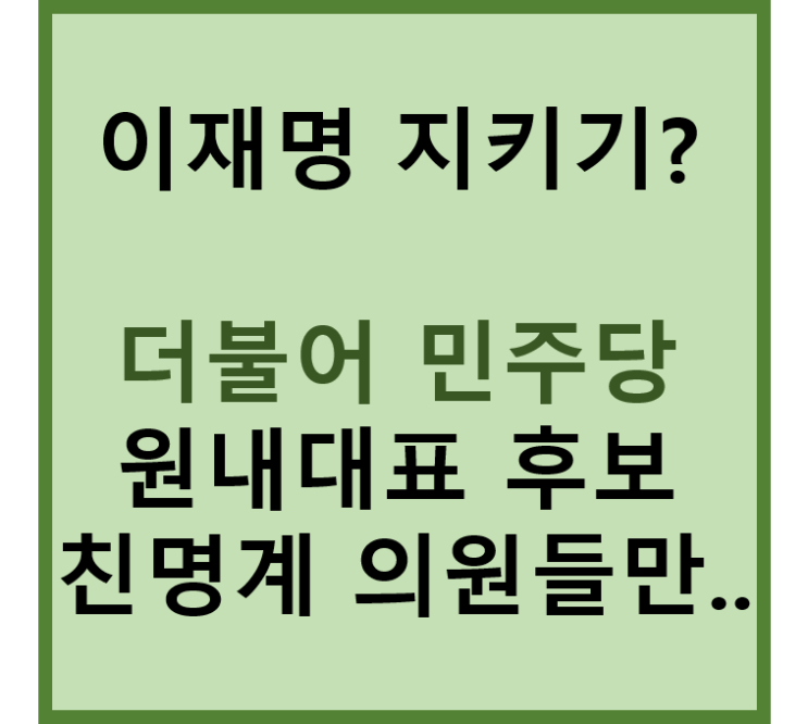 '이재명 지키기'나선 <b>민주당 원내대표 선거</b> 결국 친명계 의원... 