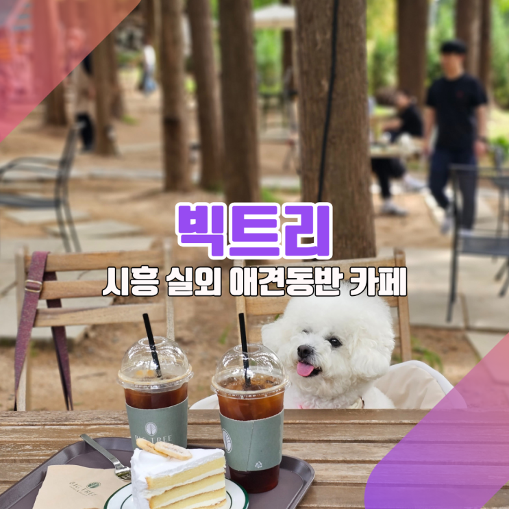  [시흥 실외 애견동반 카페_빅트리] 산림욕을 할 수 있는 카페가 생겼다고?