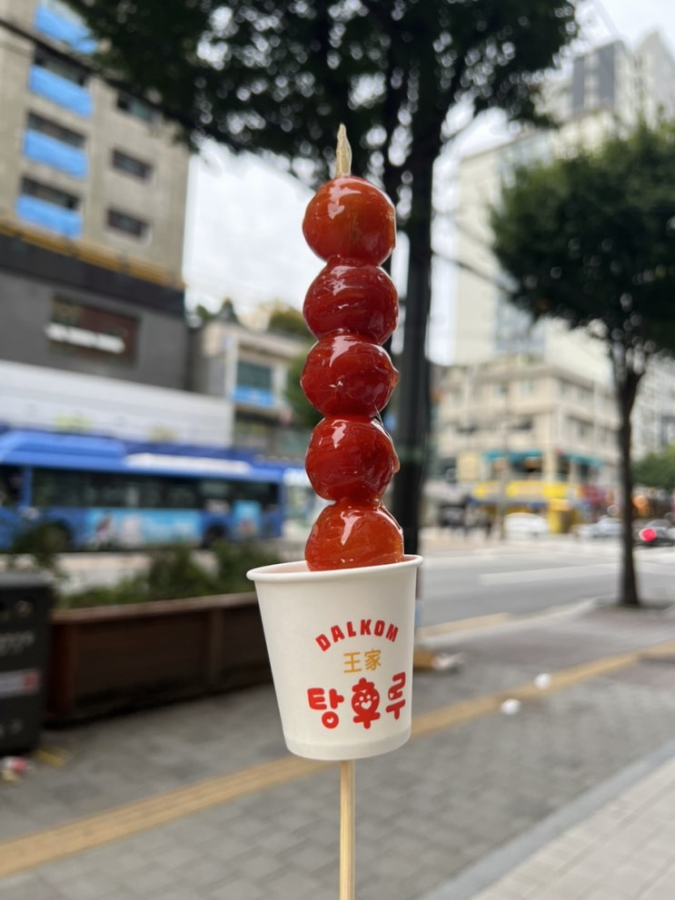  왕가탕후루 응암점 응암역 근처에도 생기다!