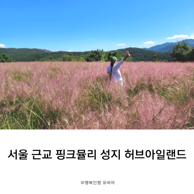  핑크뮬리 축제 서울근교 갈만한곳 허브아일랜드 입장료 및 이용 정보