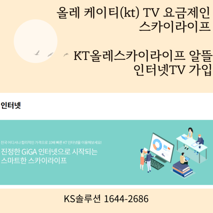  KT 올레 스카이라이프 알뜰 인터넷TV가입 저렴한요금 최대현금사은품혜택