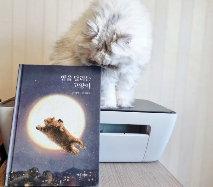  펫로스 증후군 위로가 되는 동화, 밤을 달리는 고양이
