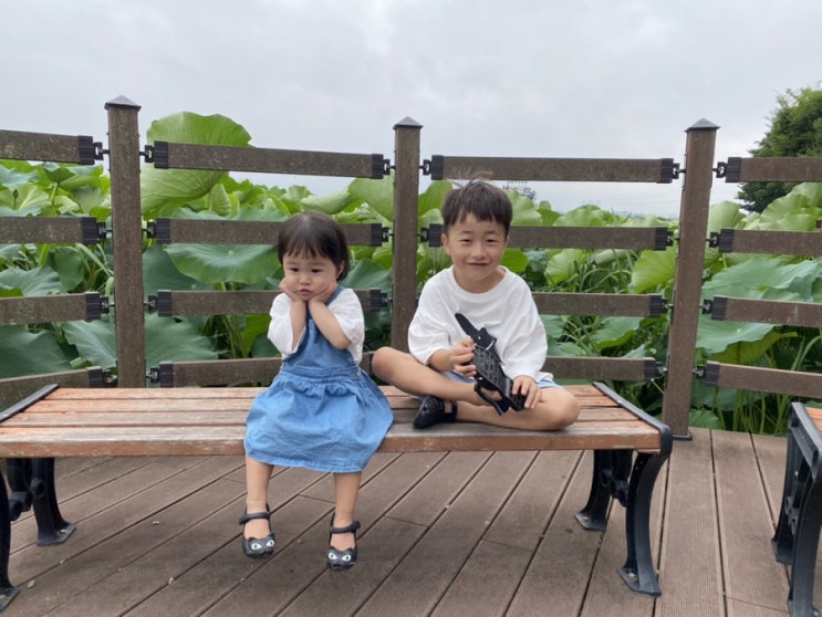  나무, 열매아빠 육아일기(45) - 우리 나무와 아빠는 에그박사가 되길 원한다. 곤충채집의 시작.