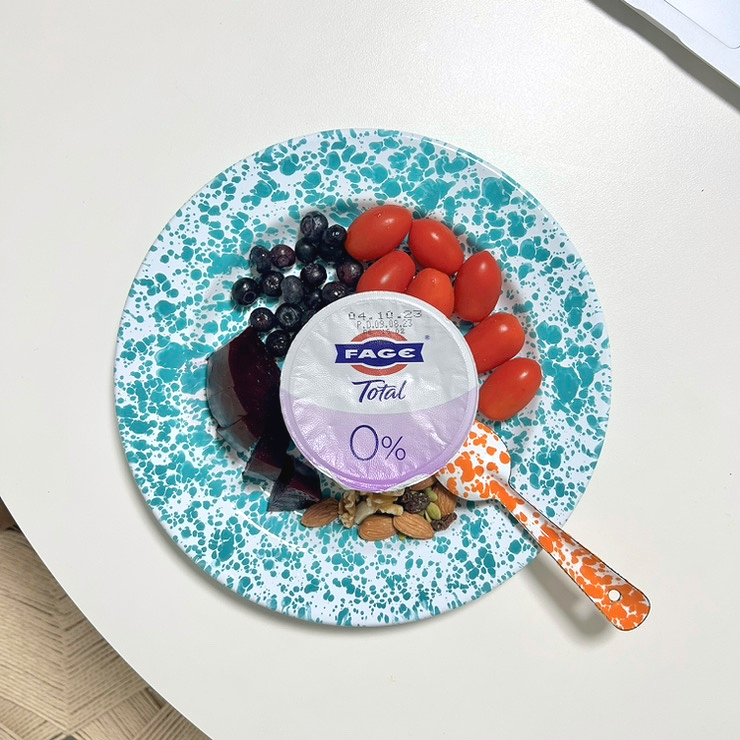  FAGE 파예 :: 무지방그릭요거트 추천 / 그리스 1위 요거트
