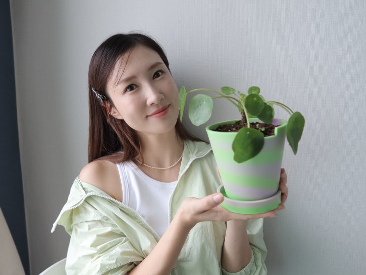  플라스틱아크 화분(PLASTIC ARK)더티팟 식집사 선물 인테리어 소품
