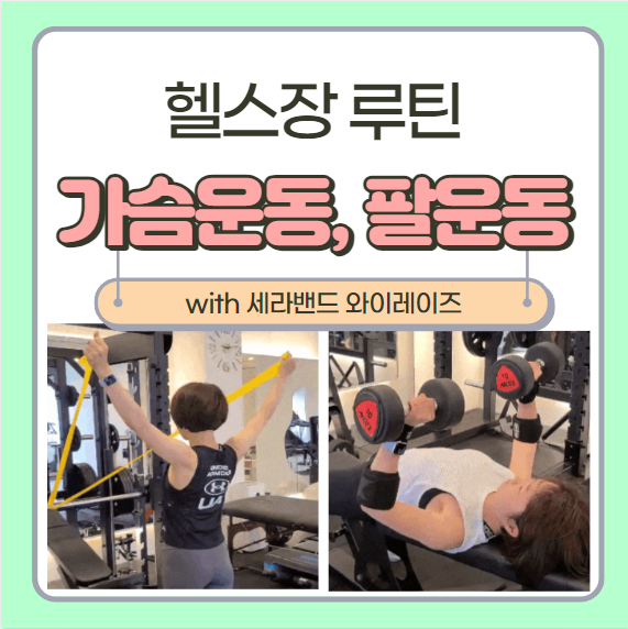  헬스장 가슴운동(세라밴드 와이레이즈) 팔운동 루틴 순서 및 주의사항, 헬스장비