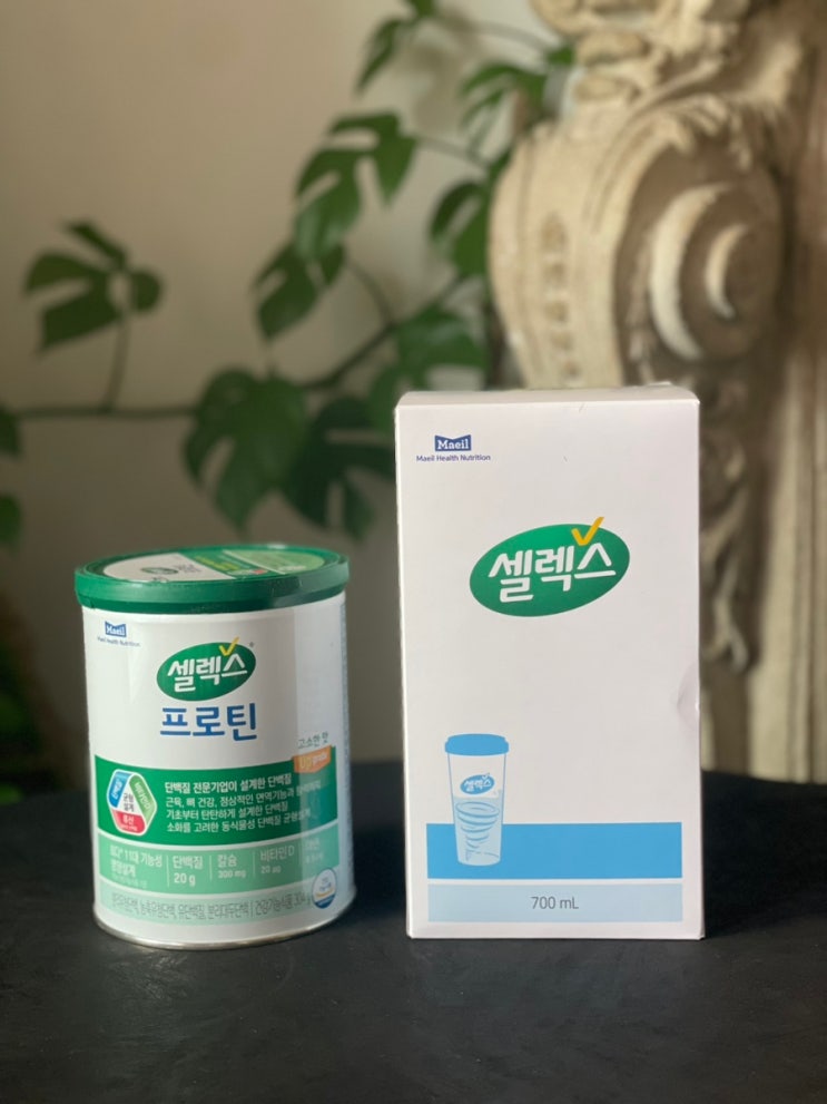 셀렉스 프로틴 단백질파우더 고소한 맛 신제품 후기 셀렉스 프로틴 단백질파우더 고소한 맛 신제품 후기