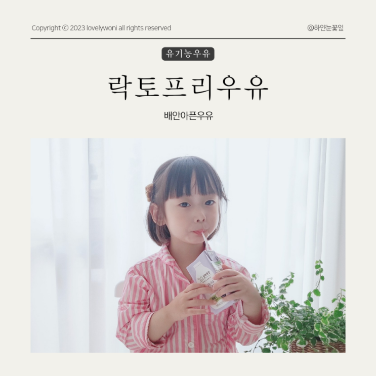  배안아픈우유 상하목장 유기농 락토프리우유 돌아기 첫우유로 추천