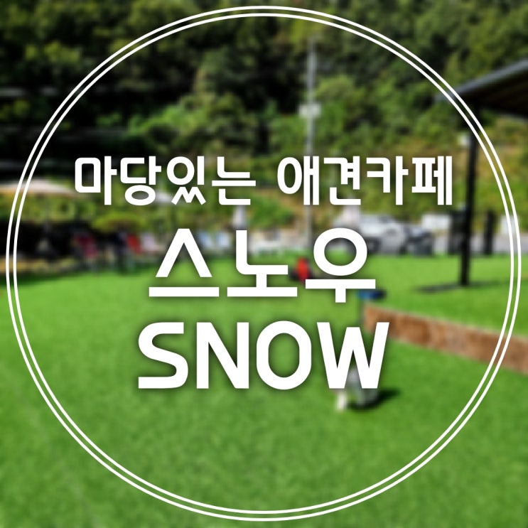  [춘천/동면] 넓고 쾌적한, 마당 있는 애견카페 -스노우